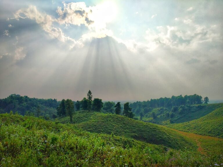 Takdah, Tea Garden